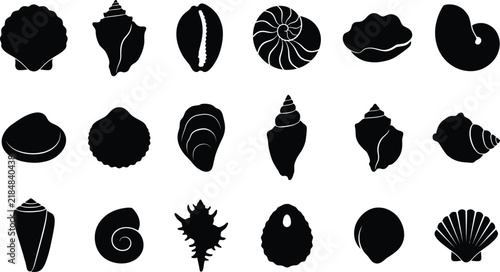 Set of black silhouette seashell icons showing various ocean sea shell shapes and marine life forms isolated on transparent background, Vector