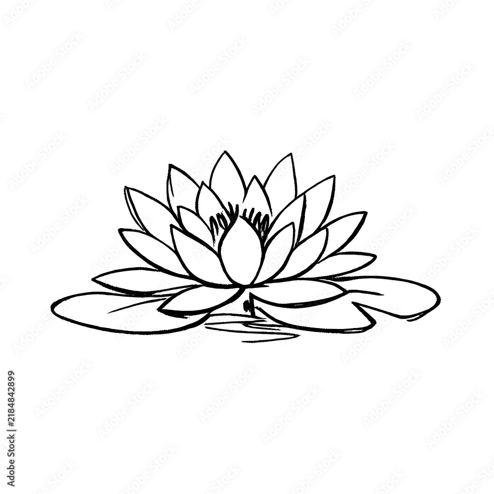 Obraz premium PNG Minimalist lotus flower illustration.