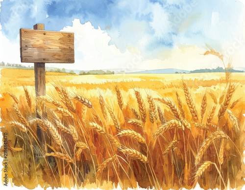 Wheat field with blank board, hand watercolor