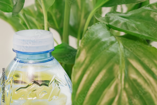 Принти на полотні Clear plastic water bottle with a blue cap positioned near vibrant green leaves