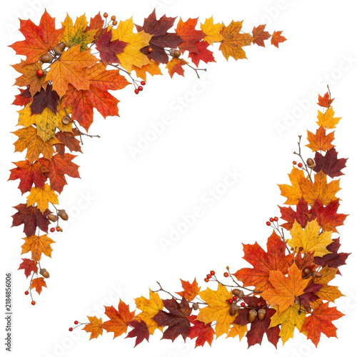 Colorful autumn maple leaves border frame arranged in a corner shape