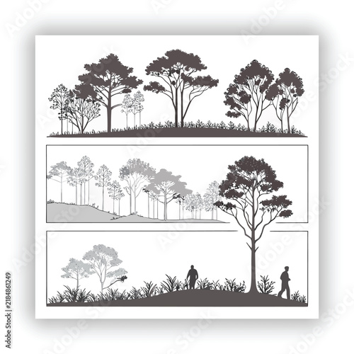 Minimal Architectural Tree CAD Line Drawing Vector for Landscape Design