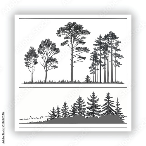 Minimal Architectural Tree CAD Line Drawing Vector for Landscape Design