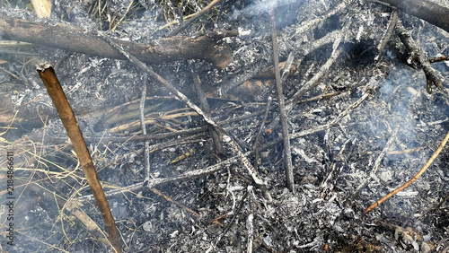 Konstfotografi Charred wood branches and white smoke from smoldering fire