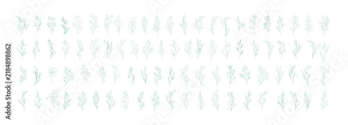 Set of hand drawn flowers and plants. Minimalist forms with elegant botanical elements for invitation, save the date card. Botanical rustic trendy greenery vector illustration