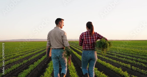 Farming couple walking through a lush green carrot field during a beautiful sunset. The man and woman are carrying freshly harvested crops