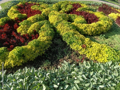 Fotografie Formal Garden Bed with Swirling Plant Arrangements in Public Park