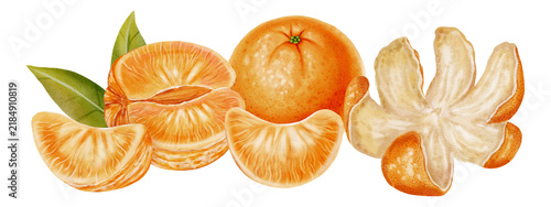 Foto Composition of mandarins with leaves