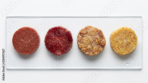 Diverse Protein Samples On Display For Scientific Research