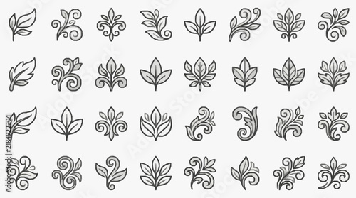 Elegant Floral and Leaf Ornamental Designs Collection for Artistic Projects