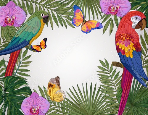tropical frame with orchids parrots and butterflies border
