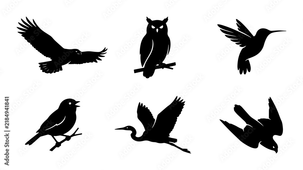 Fototapeta premium Diverse Bird Silhouettes Collection: Flying Eagle, Perched Owl, Hummingbird, Songbird, Heron, Raptor Icons