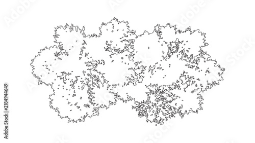 A collection of tree top view symbols for architectural and landscape design plans. Black and white line drawing illustrations for mapping and site plans