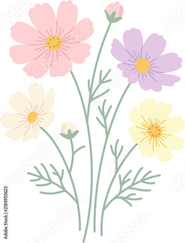 Pastel cosmos flower bouquet vector illustration