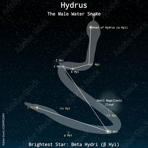 Foto Hydrus Constellation Map with Named Stars – Constellation Map Illustration