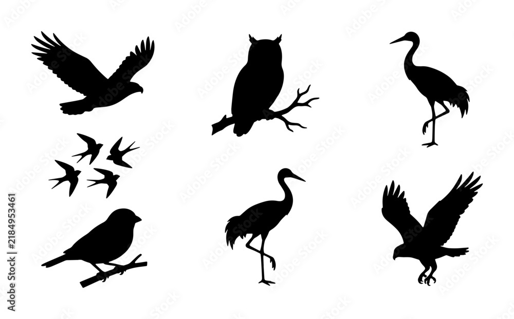 Fototapeta premium Silhouette Bird Collection: Majestic Eagles, Wise Owl, Graceful Cranes, Small Swallows, Perched Songbird