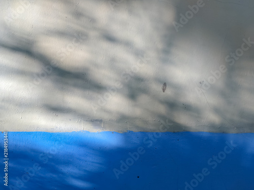 Soft leaf shadow on two tone white and blue background copy space