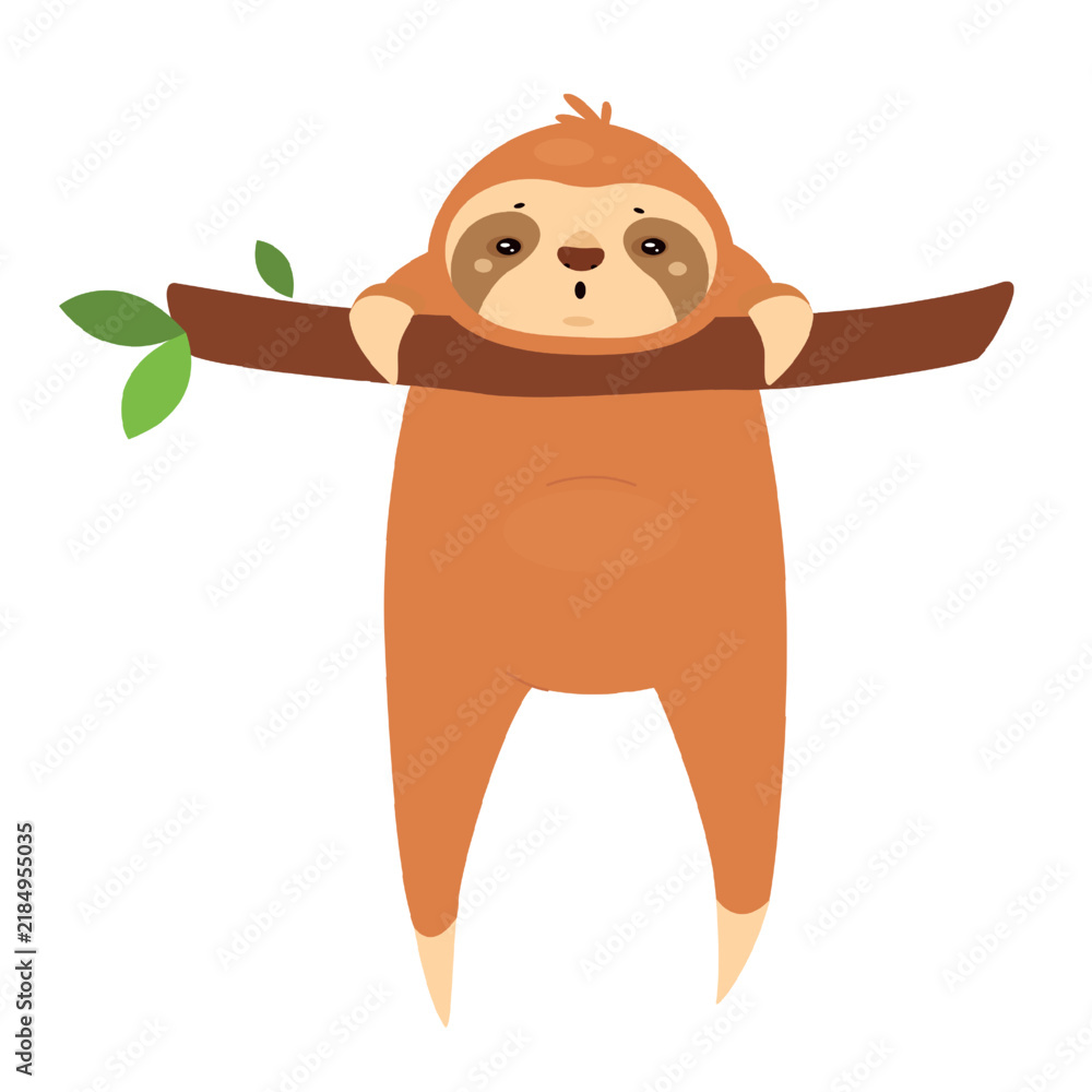 Fototapeta premium Hanging tropical sloth. Lazy jungle animal, arboreal slow moving mammal vector illustration