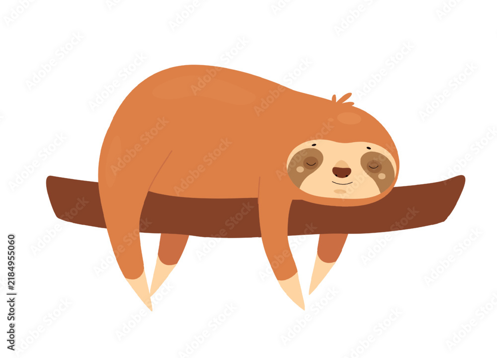 Obraz premium Sleeping sloth on tree branch. Jungle lazy bear, slow moving animal vector illustration