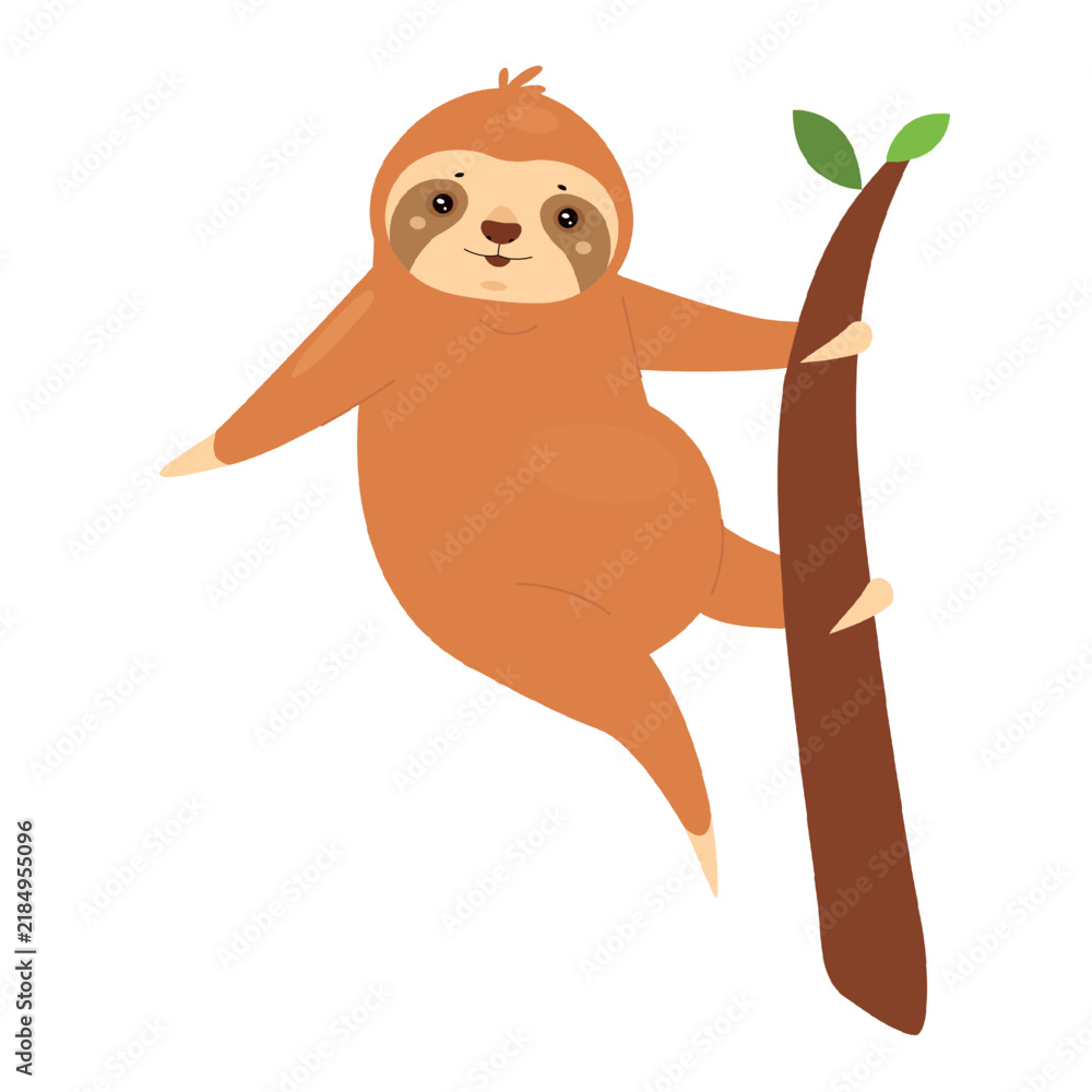 Fototapeta premium Climbing sloth animal. Tropical jungle lazy bear, slow moving mammal vector illustration
