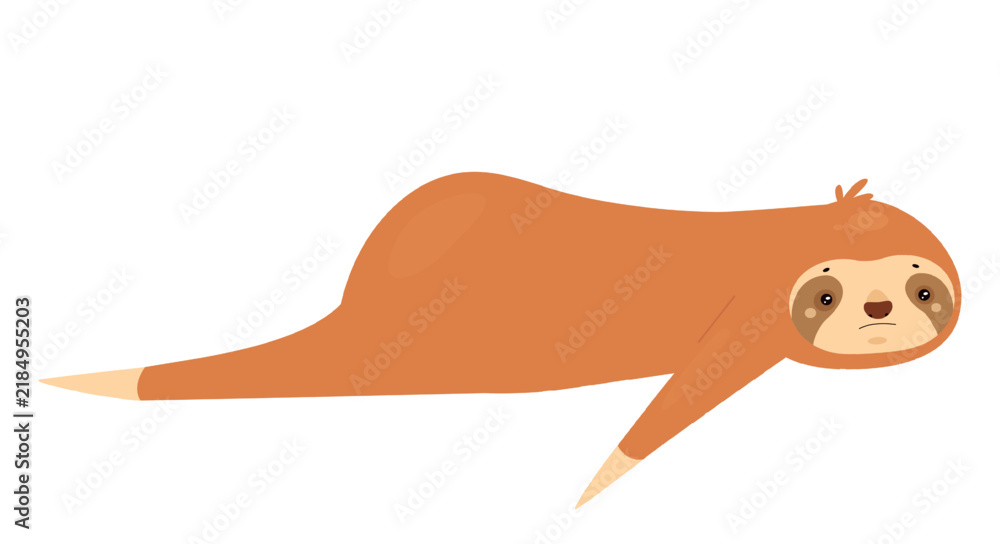 Obraz premium Laying down sloth animal. Lazy jungle bear, tropical arboreal mammal vector illustration