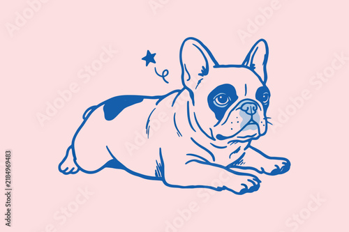 Bild auf Leinwand A blue lined illustration depicts a reclining french bulldog with a star