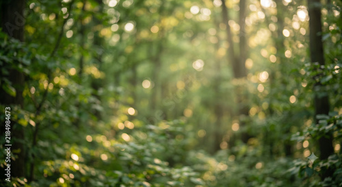Forest Bokeh Nature Background with Green Defocused Leaves Soft Sunlight Organic Abstract Wallpaper