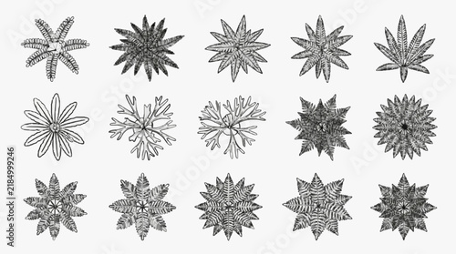 Intricate Snowflake Crystal Patterns Collection for Design and Art Projects