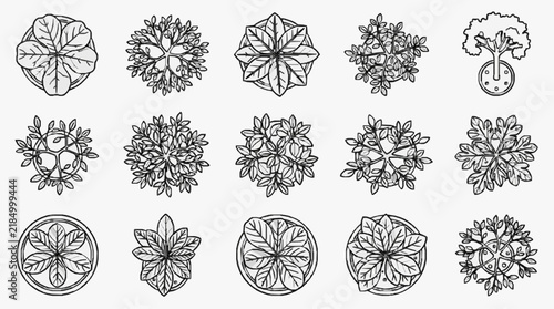 Elegant Botanical Leaf and Flower Patterns for Design Projects