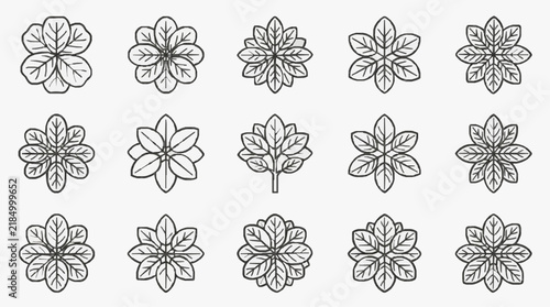 Elegant Symmetrical Floral Patterns with Five Petal Leaf Motifs for Design Projects