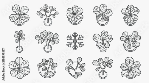 Botanical Line Art Collection of Four Leaf Clover and Leafy Plant Varieties