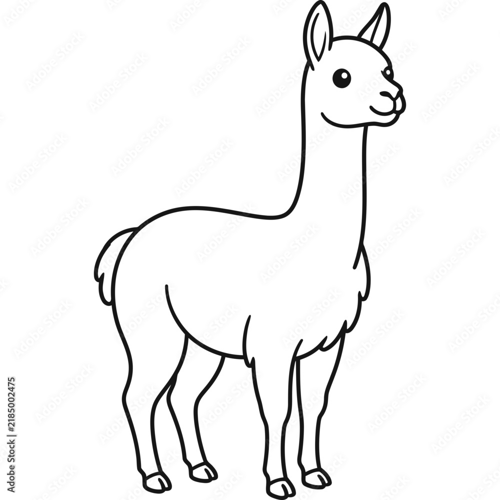 Fototapeta premium Cute vicuna hand drawn outline illustration