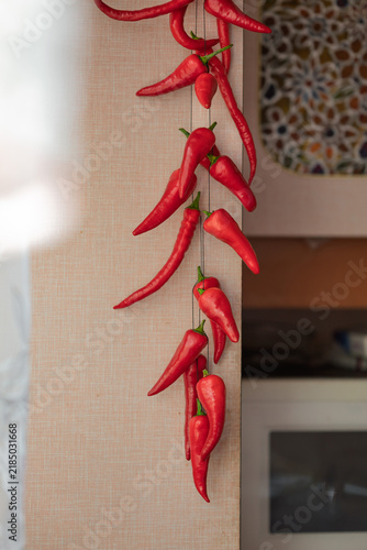 Long garland of glossy chili peppers on textured wallpaper