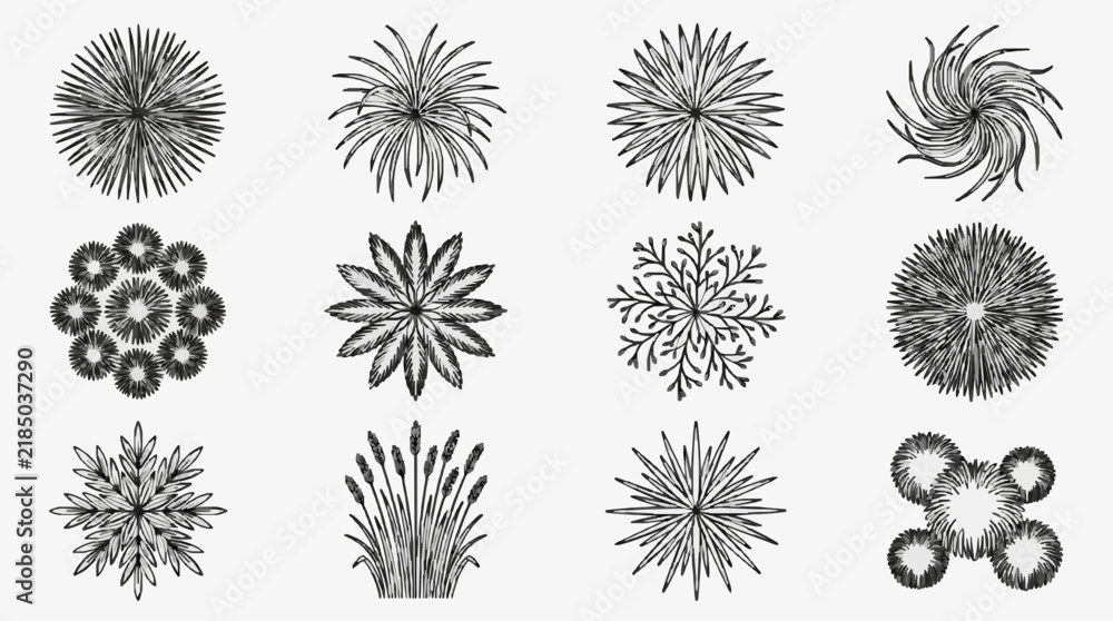 Obraz premium Elegant Abstract Floral and Botanical Line Art Patterns Collection