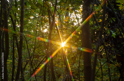 Obraz na płótnie Spectra of the setting sun