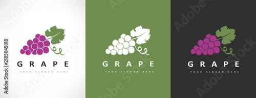 Grapes logo bunchberry vector design
