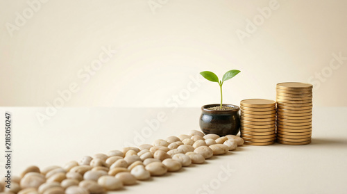 Smooth pathway of pale pebbles leading toward neatly stacked coins and a small sprout in a calm commercial concept representing passive income, on a refined minimal surface