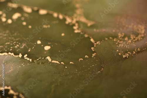 Abstract background of swamp-green and gold swirls; photo of a surface.