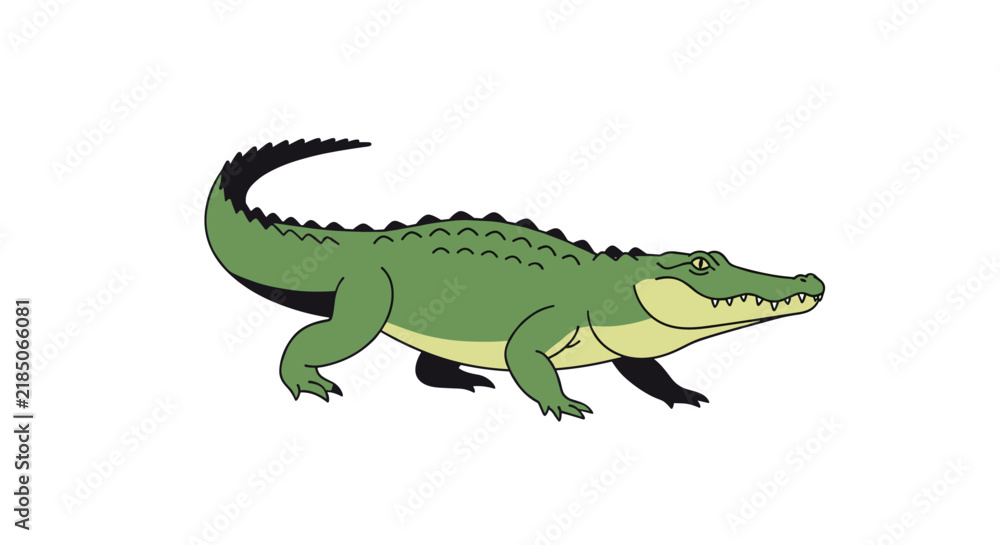 Fototapeta premium Detailed illustration of a green alligator crawling forward with realistic scales and a formidable tail on white background.