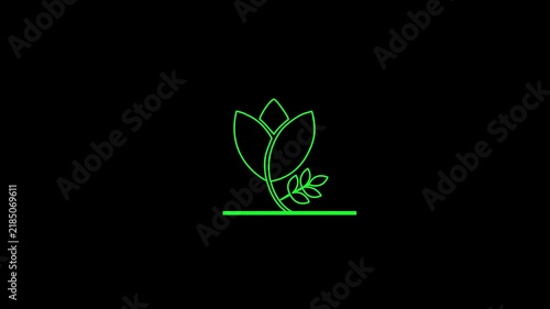 Green color Floral Outline Reveal Animation on black background. 4k video