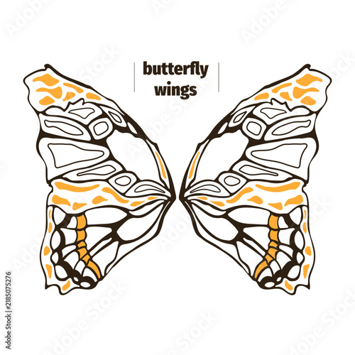 Decorative butterfly wings illustration with symmetrical line art and orange accents on white background