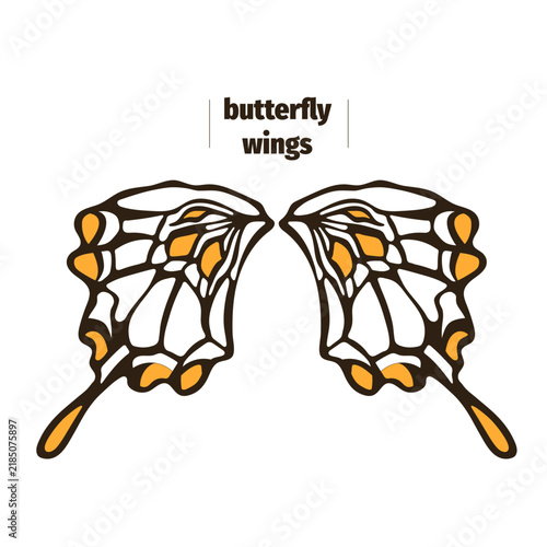 Decorative butterfly wings illustration with symmetrical line art and orange accents on white background