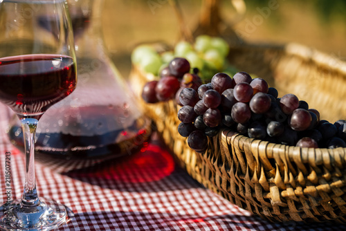 Fotografía Decanter of Red Wine with Grapes at Vineyard