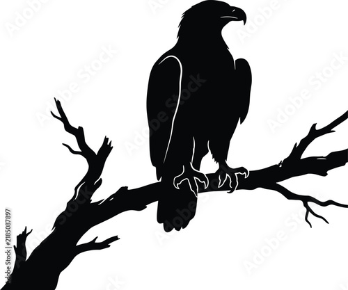 Elegant black silhouette of an eagle perched on a tree branch vector illustration