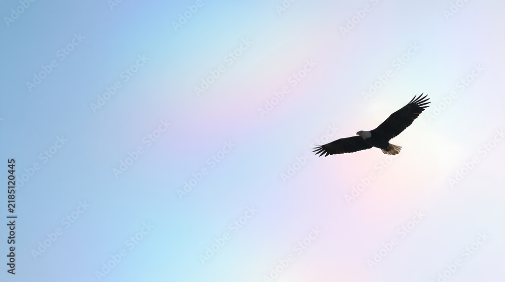 Fototapeta premium Eagle Flying Across Pastel Sky with Rainbow