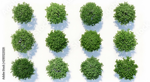 Set of green trees viewed from above for architectural landscape plan