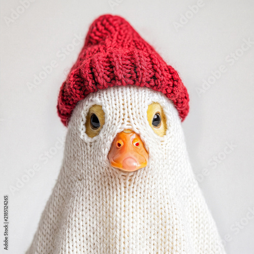 Duck ghost costume close-up with red knit hat, funny animal portrait