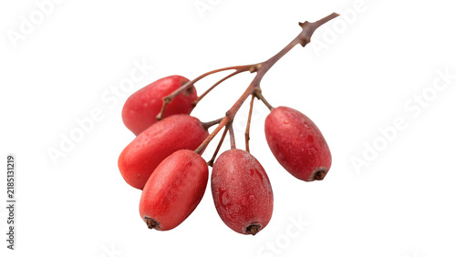 фотографія Bunch of ripe red barberry berries with stem isolated on transparent background
