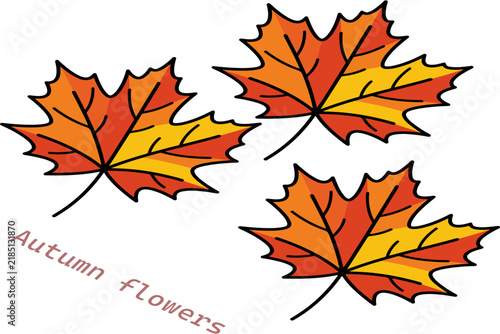 Autumn Maple Leaves Illustration with Orange and Red Fall Foliage Flat Vector Design for Seasonal Decoration