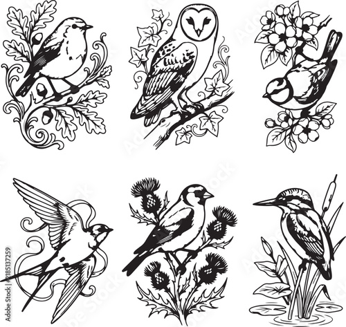 set of hand drawn birds